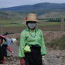 A Tibetan road worker wearing dust mask.