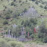 Prayer flags on a hillside.