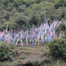 A forest of prayer flags in Gyarong.