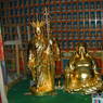 Gold statues and other statues in back within temple.