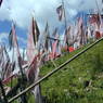 A forest of prayer flags on poles just down valley from the Larung Gar [bla rung gar] Nunnery.