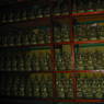 A collection of 1000 statues of Padmasambhava.