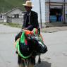 A Tibetan man riding a yak decorated for the festival on the street in Serta.