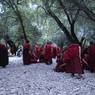 Monks debating at Loseling