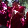 Monks debating at Loseling