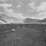 Flocks,  village in Ladakh