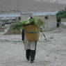 Woman carrying crops in woven basket