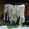 Wool hanging out in the village of sPyi pa, in Kong po