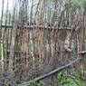 A fence in the village of bdud ma, in Kong po