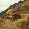 Buffalo stall and straw stack in the maize fields belonging to House31