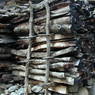 A wood pile in the village of sMu pa, in Kong po