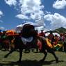 Tibetan man performing stunt at the Lhagang Horse Festival.&nbsp;