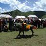 Tibetan boy racing horse in Lhagang.&nbsp;