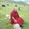 Monk sitting happily in a field.&nbsp;