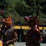 Red ox face masked at Nangkor Tsechu
