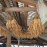 Dried maize hung on a bamboo in Ghari Village