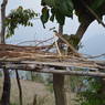 Bamboo shalve in Ghari Village